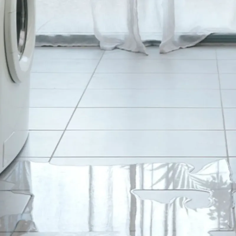 Appliance Leak Cleanup in Lincoln, MO