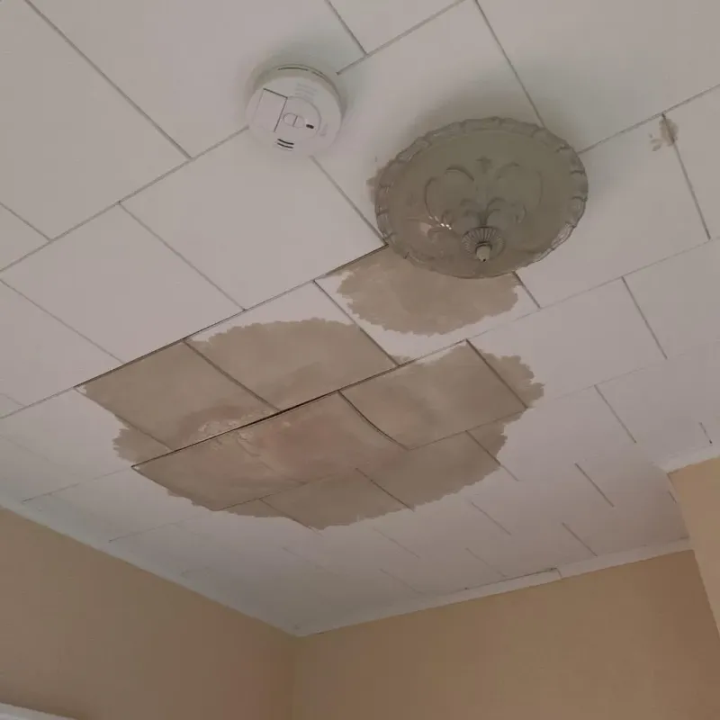 Ceiling Water Damage Repair in Lincoln, MO