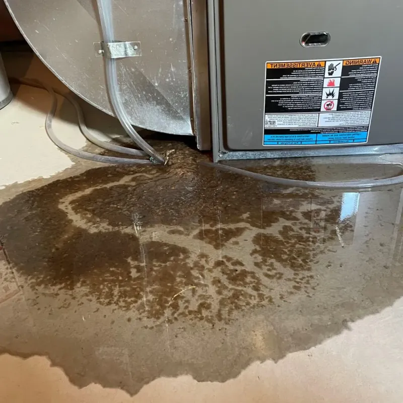 Pipe Burst and Leak Restoration in Lincoln, MO
