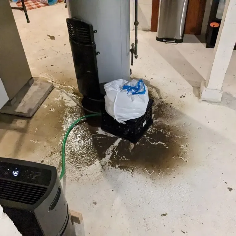 Sewage Backup Cleanup Service in Lincoln, MO